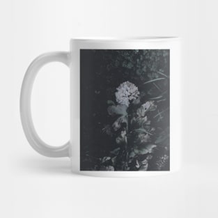 Dead Spring Mug